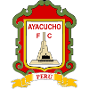 山东球探